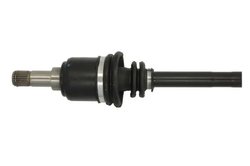 PLANETARA POINT GEAR PNG71254 - Compatibil cu FIAT, LANCIA