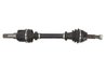 Planetara POINT GEAR PNG71369