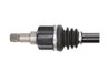 PLANETARA POINT GEAR PNG71368 - Compatibil cu FORD