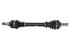 Planetara POINT GEAR PNG71503