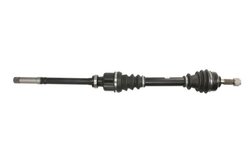 Planetara POINT GEAR PNG71561