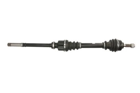 Planetara POINT GEAR PNG71561
