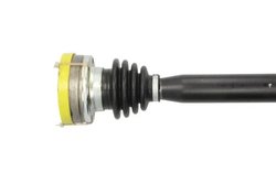 Planetara POINT GEAR PNG71901