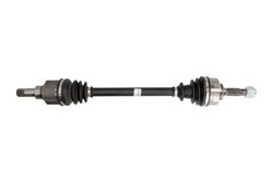 PLANETARA POINT GEAR PNG72032 - Compatibil cu CITROEN, PEUGEOT
