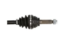 Planetara POINT GEAR PNG72072