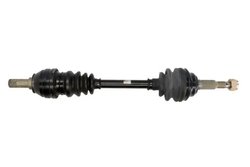PLANETARA POINT GEAR PNG72081 - Compatibil cu OPEL, VAUXHALL