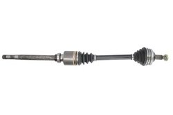 Planetara POINT GEAR PNG72147