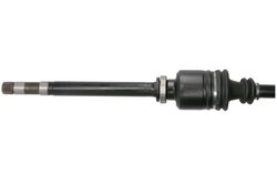 PLANETARA POINT GEAR PNG72146 - Compatibil cu CITROEN, FIAT, PEUGEOT
