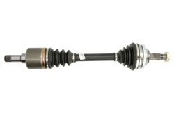 PLANETARA POINT GEAR PNG72149 - Compatibil cu CITROEN, FIAT, PEUGEOT