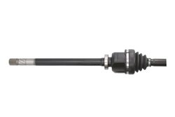Planetara POINT GEAR PNG72228