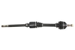 PLANETARA POINT GEAR PNG72263 - Compatibil cu PEUGEOT