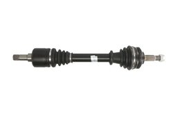 PLANETARA POINT GEAR PNG72270 - Compatibil cu PEUGEOT