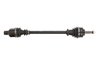 PLANETARA POINT GEAR PNG72292 - Compatibil cu RENAULT