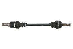 PLANETARA POINT GEAR PNG72338 - Compatibil cu RENAULT