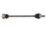 PLANETARA POINT GEAR PNG72343 - Compatibil cu SEAT, SKODA, VW