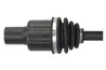 PLANETARA POINT GEAR PNG72354 - Compatibil cu SUZUKI
