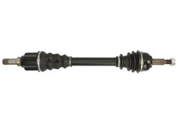 Planetara POINT GEAR PNG72491