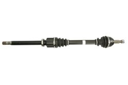 Planetara POINT GEAR PNG72492