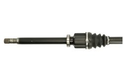 Planetara POINT GEAR PNG72492