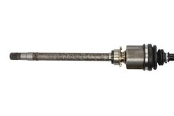 Planetara POINT GEAR PNG72513