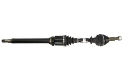 PLANETARA POINT GEAR PNG72517 - Compatibil cu FIAT