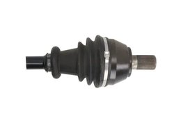 PLANETARA POINT GEAR PNG72529 - Compatibil cu FORD, VOLVO