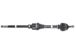 PLANETARA POINT GEAR PNG72601 - Compatibil cu CITROEN