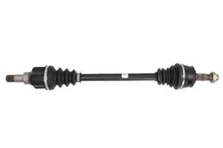 Planetara POINT GEAR PNG72616