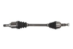 PLANETARA POINT GEAR PNG72631 - Compatibil cu RENAULT