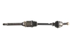 Planetara POINT GEAR PNG72648