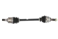 PLANETARA POINT GEAR PNG72667 - Compatibil cu SUZUKI