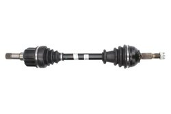 PLANETARA POINT GEAR PNG72721 - Compatibil cu CITROEN, FIAT, PEUGEOT