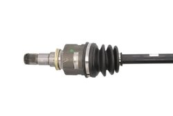 PLANETARA POINT GEAR PNG72724 - Compatibil cu CITROEN, PEUGEOT, TOYOTA