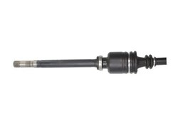 PLANETARA POINT GEAR PNG72726 - Compatibil cu CITROEN, FIAT, LANCIA, PEUGEOT