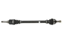 Planetara POINT GEAR PNG72733