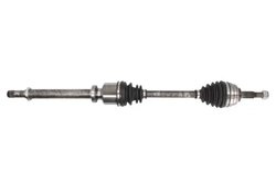 PLANETARA POINT GEAR PNG72739 - Compatibil cu DACIA, RENAULT