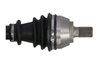 PLANETARA POINT GEAR PNG72751 - Compatibil cu FORD, VOLVO
