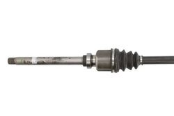 Planetara POINT GEAR PNG72759