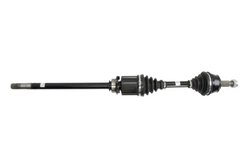 PLANETARA POINT GEAR PNG72771 - Compatibil cu LANCIA