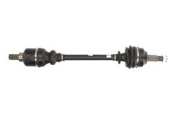 PLANETARA POINT GEAR PNG72799 - Compatibil cu CITROEN, FIAT, LANCIA, PEUGEOT