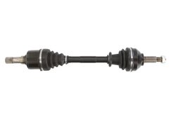 PLANETARA POINT GEAR PNG72814 - Compatibil cu NISSAN, OPEL, RENAULT