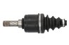 PLANETARA POINT GEAR PNG72878 - Compatibil cu DACIA