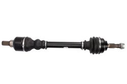 PLANETARA POINT GEAR PNG72881 - Compatibil cu CITROEN