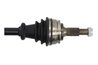 PLANETARA POINT GEAR PNG72889 - Compatibil cu CITROEN