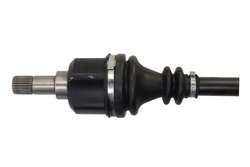 PLANETARA POINT GEAR PNG72889 - Compatibil cu CITROEN