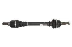 PLANETARA POINT GEAR PNG72897 - Compatibil cu CITROEN