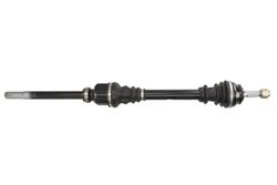 PLANETARA POINT GEAR PNG72903 - Compatibil cu CITROEN