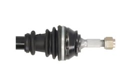 Planetara POINT GEAR PNG72903