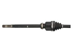 Planetara POINT GEAR PNG72902