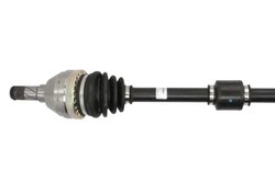 PLANETARA POINT GEAR PNG72942 - Compatibil cu OPEL